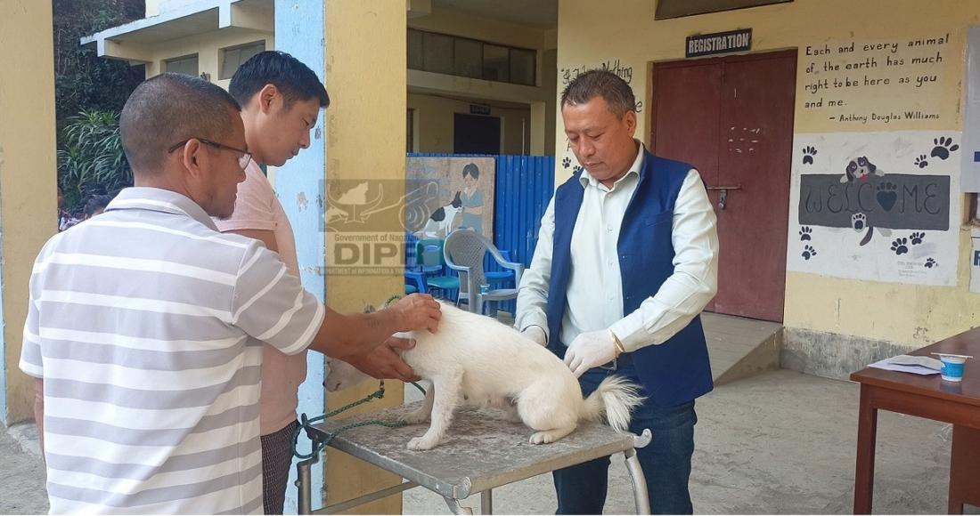 WORLD VETERINARY DAY 2024 OBSERVED ACROSS THE STATE